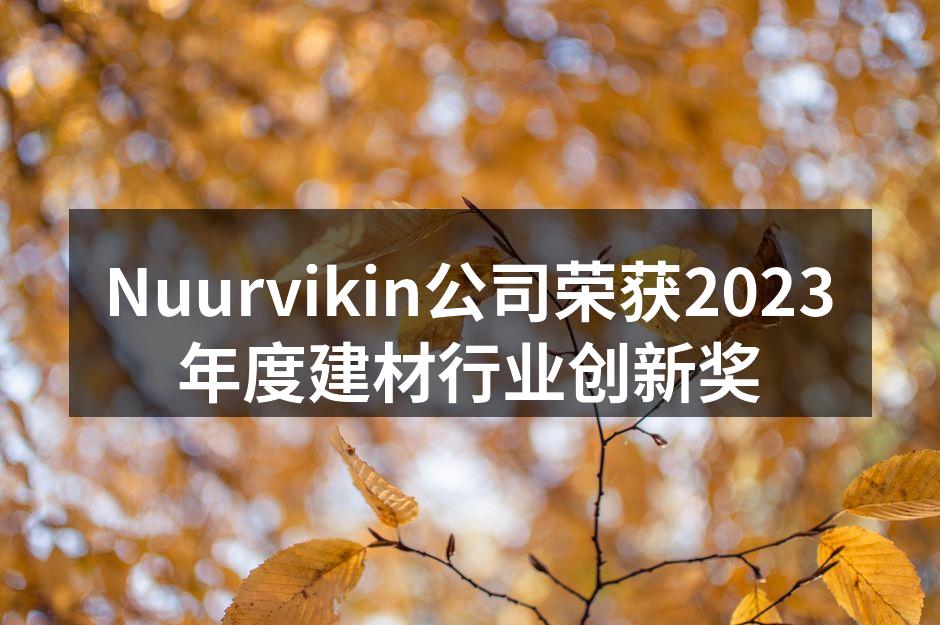 Nuurvikin团队在颁奖典礼上合影